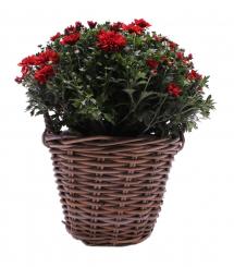 Korbübertopf Rattangeflecht grau d34cm 