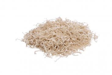 PresentFill (R) chamois 5kg 